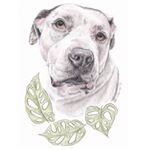 Profile Picture of Rebecca Flanders (@rebeccaflanders_portraitart) on Instagram