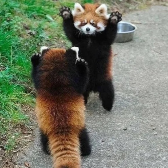 Profile Picture of Jackson Licklider (@jtlick) on Poshmark