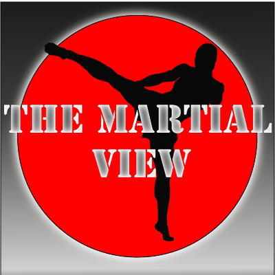 Profile Picture of Dan Holloway (@themartialview) on Twitter