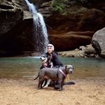 Tara Taylor Denny - Instagram Profile Picture of Tara Taylor Denny (@evelyn_ash_and_molly) on Instagram