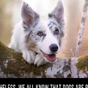 Jimmy Casteel - Youtube Profile Picture of Jimmy Casteel (@jimmycasteel5376) on Youtube