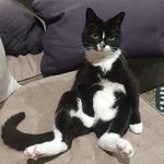 Profile Picture of Chris 