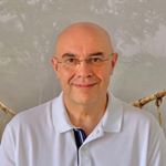 Profile Picture of Nicolás Pascual Sancho (@sintergetica.mallorca) on Instagram