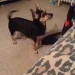 lillianroquez - Instagram Profile Picture of lillianroquez (@lillianroquez) on Instagram