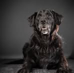 Profile Picture of Guido Burghoff (@Guido-Burghoff) on Facebook