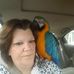 Profile Picture of Amy Whetstone Huston (@amy.whetstonehuston.7) on Facebook