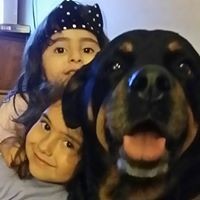 Lupe Cabral - Quora Profile Picture of Lupe Cabral (@lupe-cabral-1) on Quora