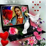 Profile Picture of Edward Fulp (@Edward-Fulp) on Facebook