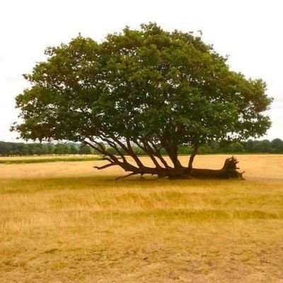 Profile Picture of John Daniel Baraya (@johndaniel456) on Twitter