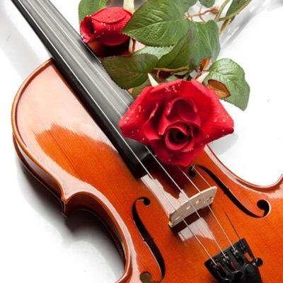 Profile Picture of Hanako Nonomiya (@h_nonomiya) on Twitter