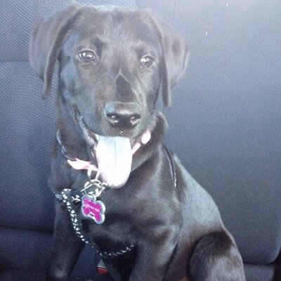 Profile Picture of Mark A. Greenwald (@@Seminole76) on Twitter