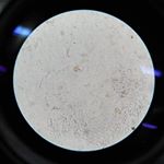 Profile Picture of kimberly Isabel (@kimberlycastro.okay) on Instagram