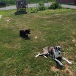 Profile Picture of Scott Hertzog (@hertzog.scott) on Instagram