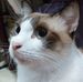 Profile Picture of Farhah Shariff (@farhah.shariff.3) on Facebook