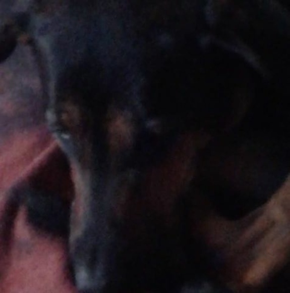 Profile Picture of Richard Craigo (@richardcraigo) on Poshmark