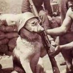 Profile Picture of Ethan James Diego Sanchez Woon (@e_ton_sand_jeez) on Instagram