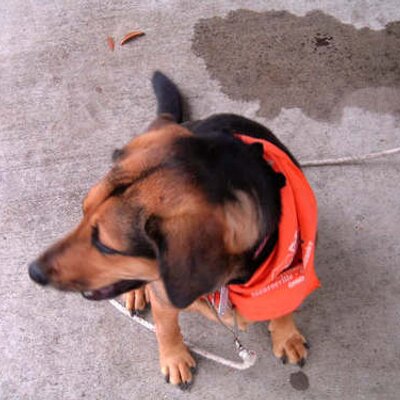 Profile Picture of Keri Cameron Hooks (@kcam63) on Twitter