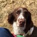 Profile Picture of Cindy Brummer (@cindy.brummer.92) on Facebook