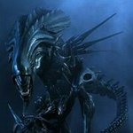 Profile Picture of Justin Marsack (@justinmarsack) on Instagram