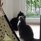 Profile Picture of Sylvia Jarvis (@TheSylvia847) on Youtube