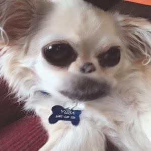 Profile Picture of Amanda Kohn (@@amandakohn) on Tiktok