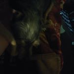 Profile Picture of Michael Rodriguez (@michaelrodriguez3787) on Instagram