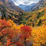 Profile Picture of Jeffrey Hilton (@jeffrey.hilton.765489) on Facebook