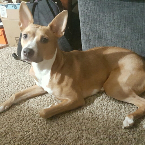 Trevor Stevens - Poshmark Profile Picture of Trevor Stevens (@trevstev) on Poshmark