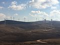Profile Picture of Tafila Wind Farmon Wikipedia