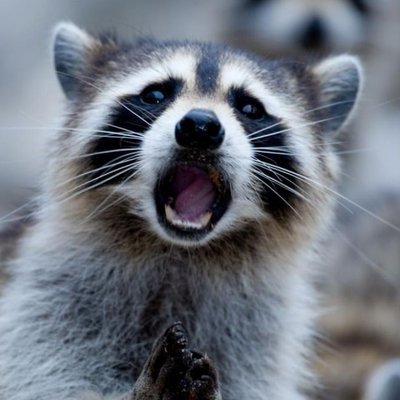 Profile Picture of Max Grant (@maxgrant9) on Twitter
