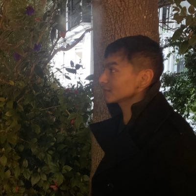 Profile Picture of Matt (@matt_hinojosa) on Twitter