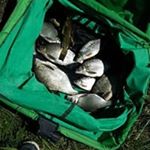 Profile Picture of Jean Marie Polinsky (@jeanmariepolinsky) on Instagram