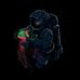 Profile Picture of Stuart Beckham (@strom.snipper.5) on Facebook