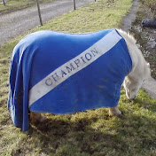 Nicola Oconnor - Youtube Profile Picture of Nicola Oconnor (@nicolaoconnor4544) on Youtube