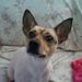 Profile Picture of Elizabeth Tolbert Woods (@ewoods63) on Pinterest