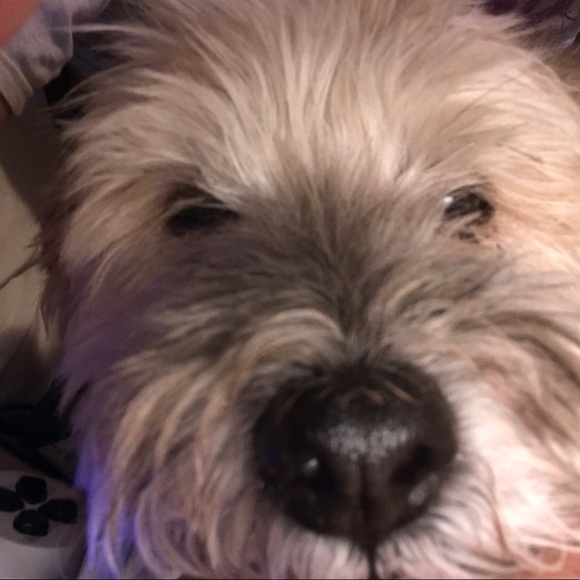 Profile Picture of Zach Hannusch (@zhannusch) on Poshmark