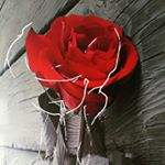 Profile Picture of Mehmet (@memoly._) on Instagram