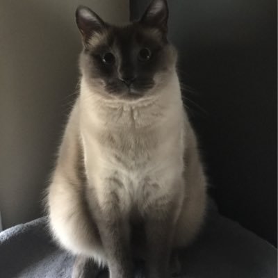 Emmett James - Twitter Profile Picture of Emmett James (@RealEmmettJames) on Twitter