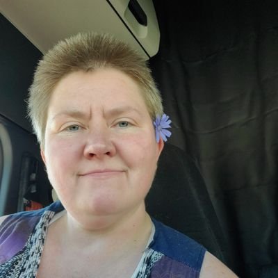 Profile Picture of Robin Janney (@RJanney_Author) on Twitter