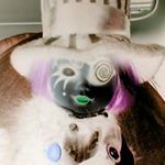 Profile Picture of Joshua Goins (@iamthemadness) on Instagram