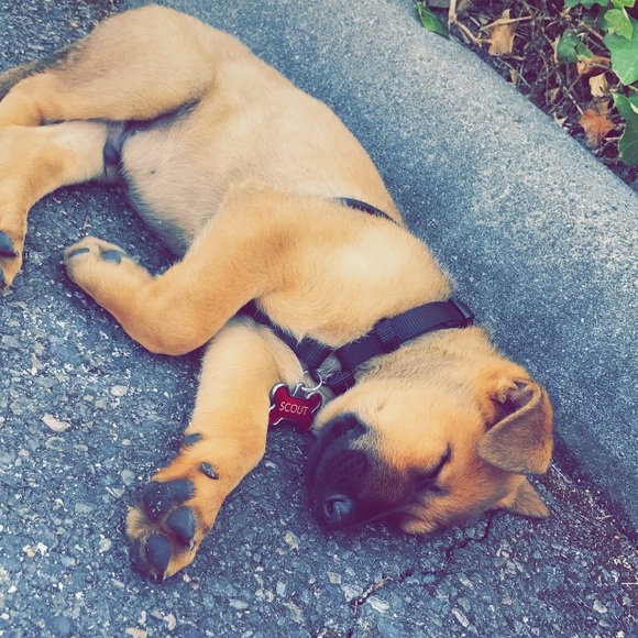 Kaydinse Peirsol - Poshmark Profile Picture of Kaydinse Peirsol (@kaydinse2) on Poshmark