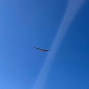 Profile Picture of Dawn Bird ちゃんねる (@dawnbird3180) on Youtube