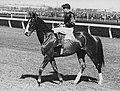Profile Picture of Rogillaon Wikipedia