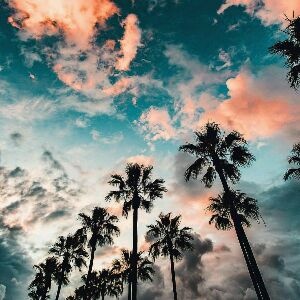 Profile Picture of Erin Cahill (@@erincahill1) on Tiktok