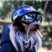Profile Picture of Il Patriota (@AngeloDoppioK) on Pinterest