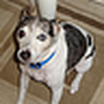 Profile Picture of Stacey & Jason Schuler (@stacey lyn princess) on Flickr