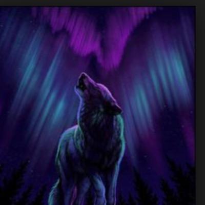 Profile Picture of Max Calder (@B0XTR0X5098) on Twitter