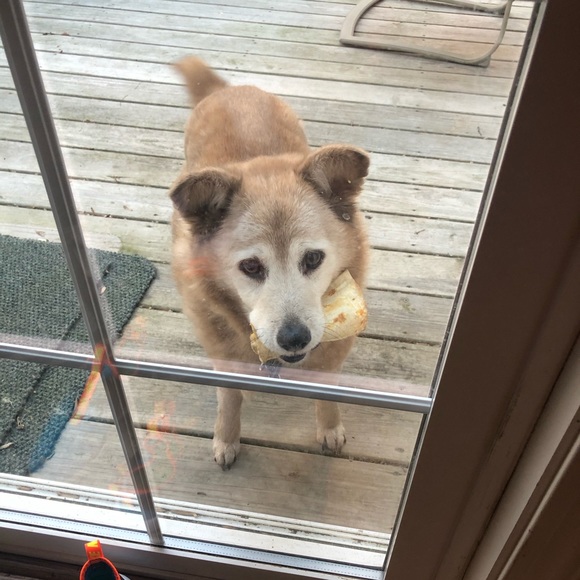 Kimberly Olstein-vigliotti - Poshmark Profile Picture of Kimberly Olstein-vigliotti (@kimvigs) on Poshmark