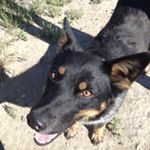 Profile Picture of Cooper Coleman (@coopercoleman7707) on Instagram