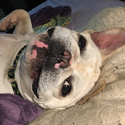 Profile Picture of Elvis Cooper (@elviscooper9170) on Youtube